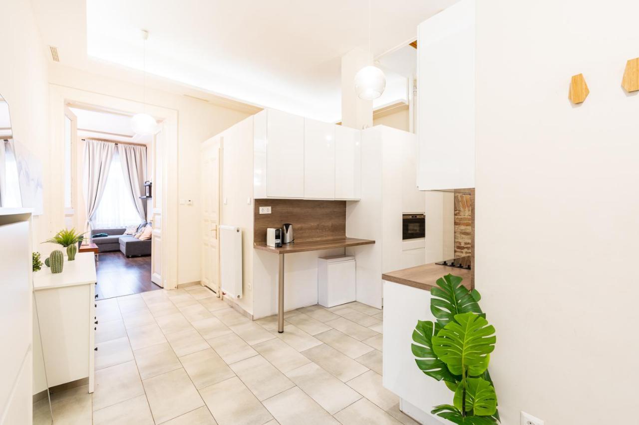 Spacious Luxury Apartment At The Heart Of Budapeşte Dış mekan fotoğraf